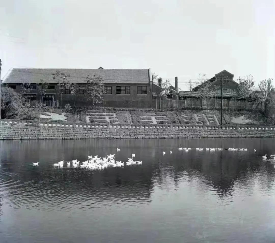 重庆大学有多牛,重庆大学怎么样好不好