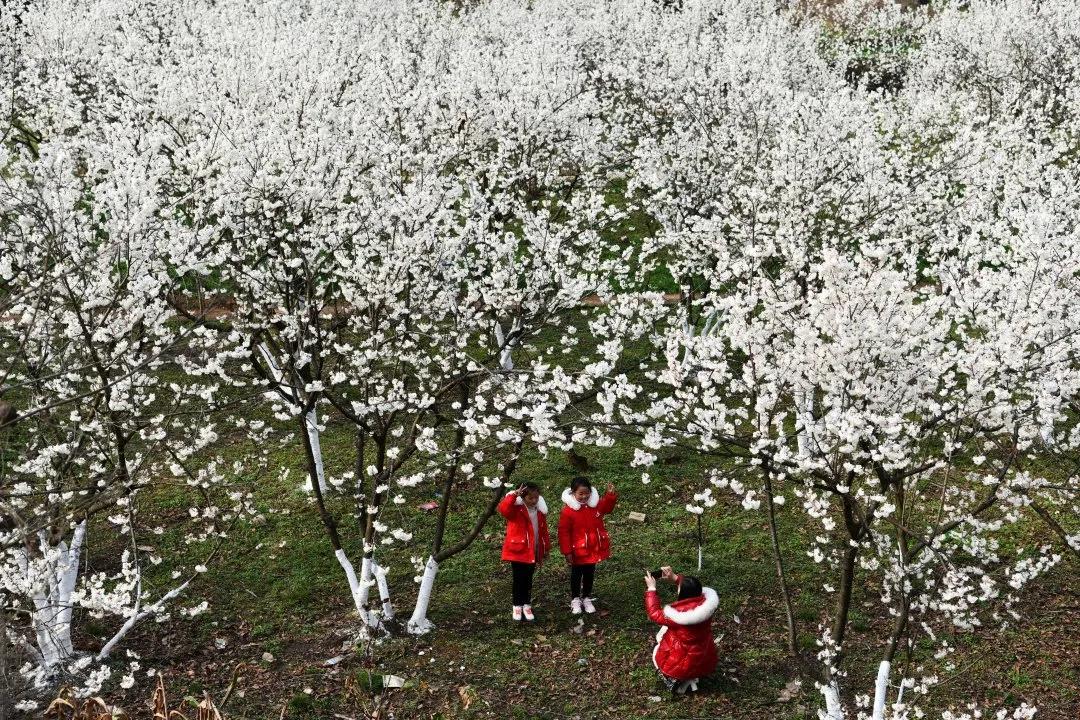 彪炳史册的脱贫攻坚疫情防控,伟大壮举中国脱贫攻坚成就展视频