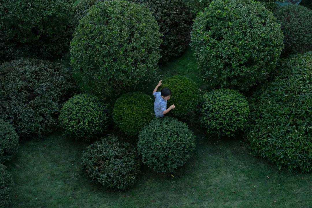 万科金开悦府,万科金开悦府高压线