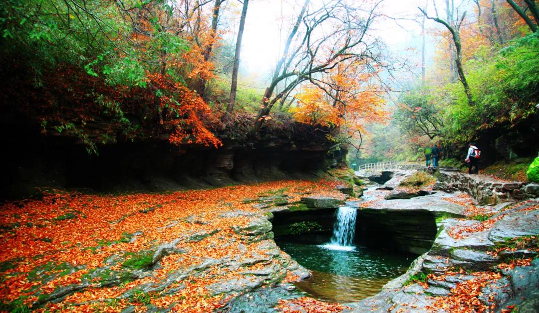 陕西汉中黎坪红叶,汉中黎坪红叶免费