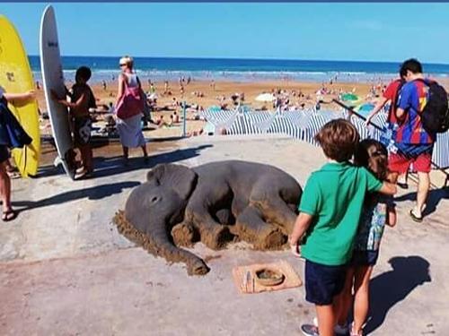 老外沙雕动物视频,外国人沙雕模仿动物