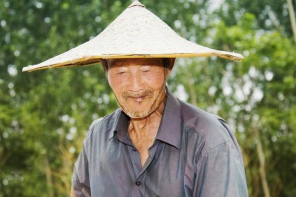 闰四月吃树叶是啥意思,闰四月可以吃树叶吗