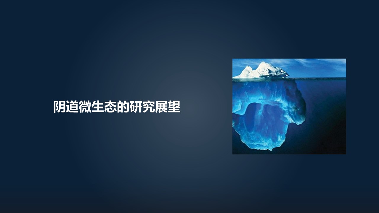 肖冰冰,肖冰冰的创作