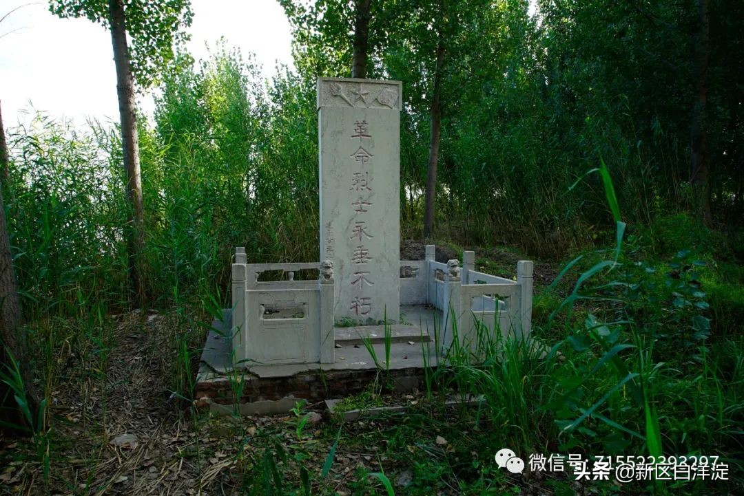 白洋淀红色记忆旅行社,白洋淀著名的红色事迹