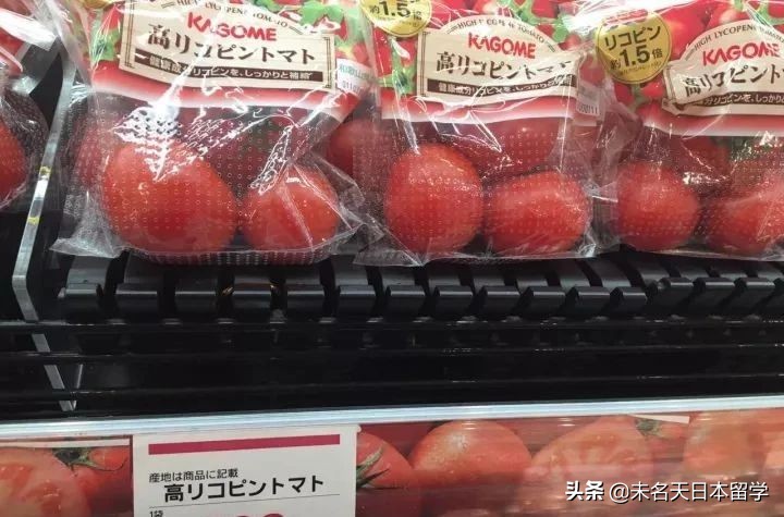 日本人常吃的便当到底是什么东东?