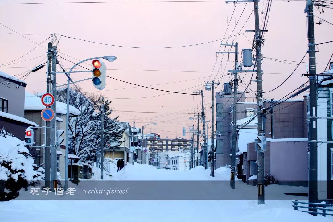 日本10天自由行费用北海道,东京北海道5日自由行攻略