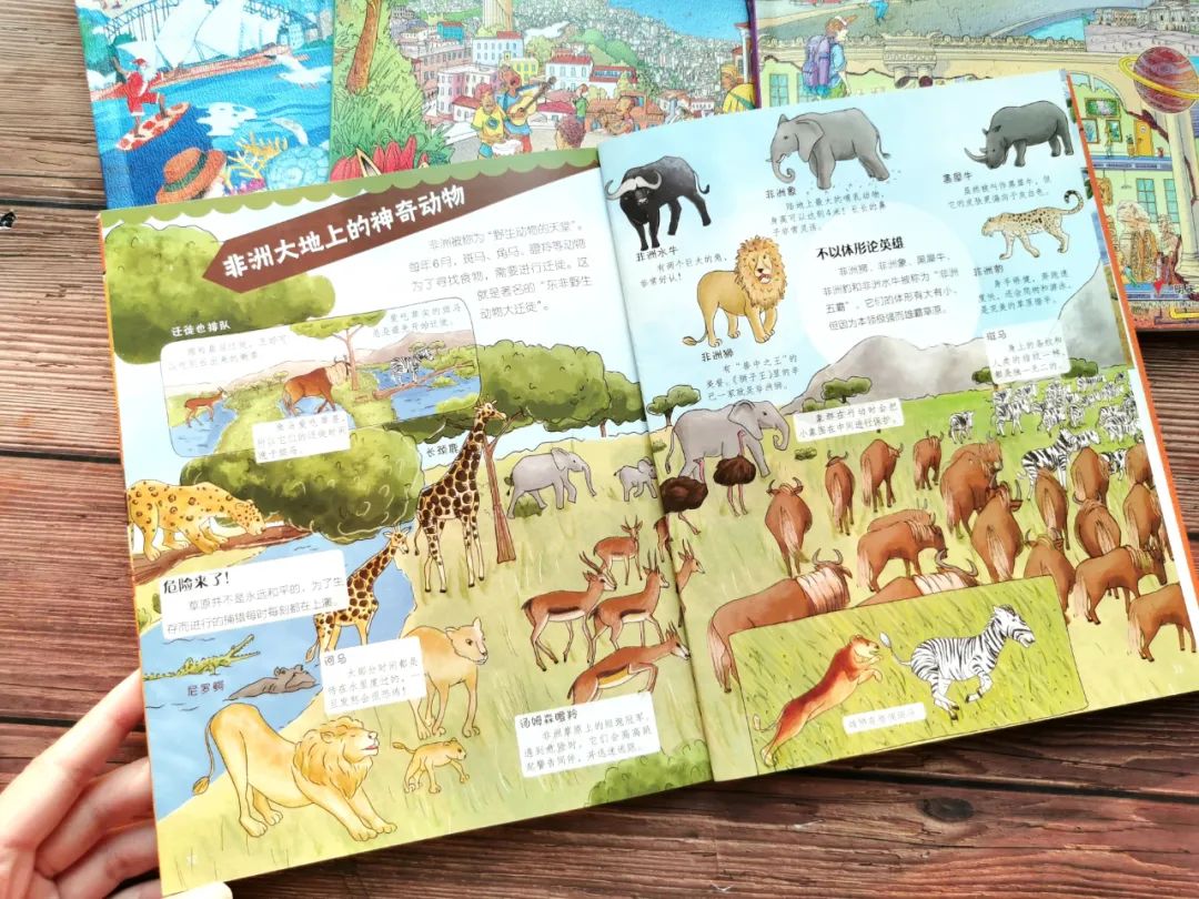 一定要给孩子买的世界地图,写给孩子的国家地理绘本