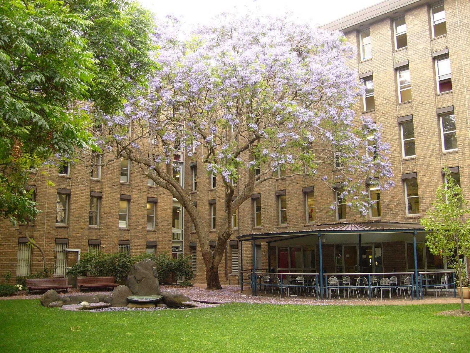 澳洲预科只能上澳洲吗,澳洲留学为什么要预科