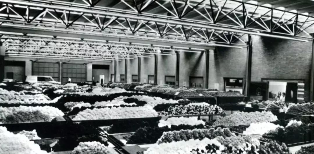 世界顶级鲜花市场,全国最大鲜花交易市场