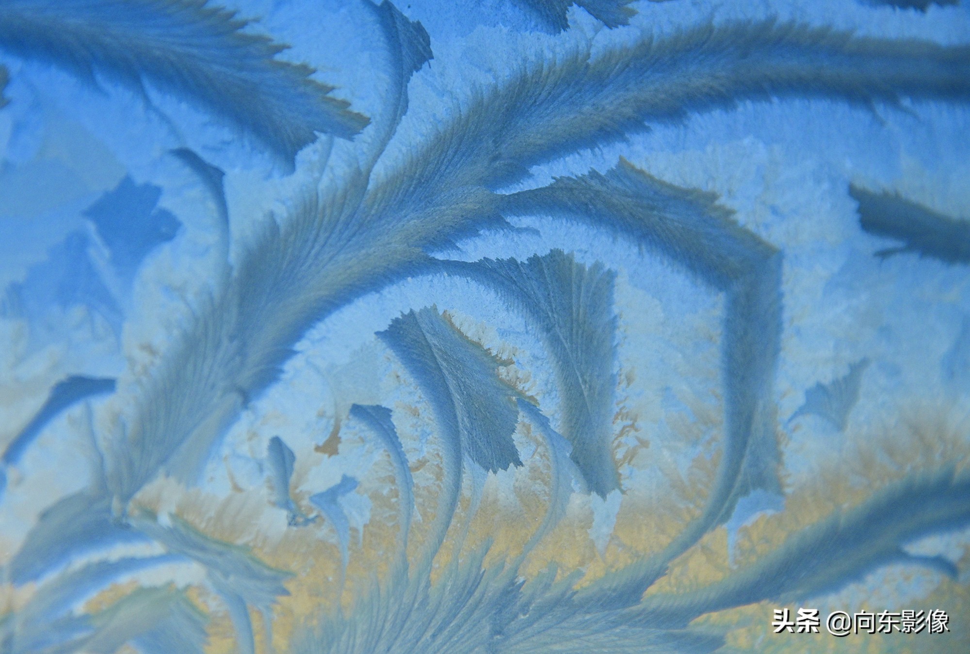 尼康z7一代高感,尼康z7ii4k60p是超采样吗