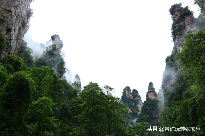 到张家界天门山自助游价格多少钱,武汉到张家界天门山三日游
