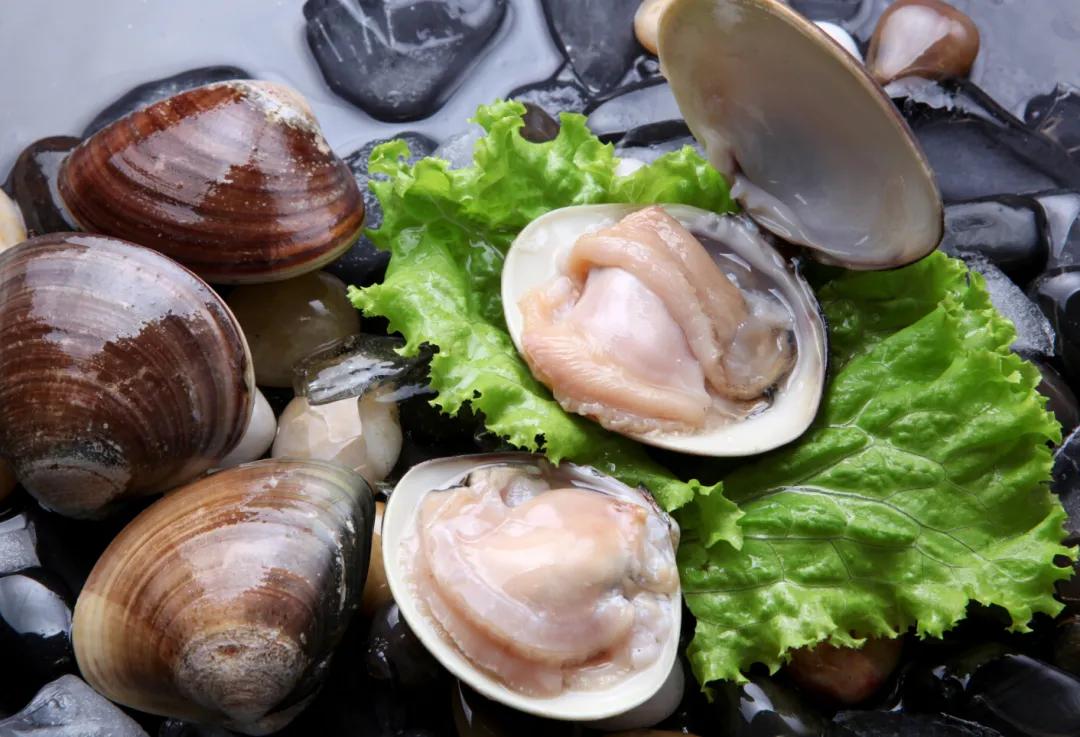 蚬子蛏子蛤蜊什么区别,长条的蛤蜊蛏子叫什么