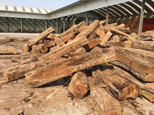 刺猬紫檀未来趋势,2018刺猬紫檀