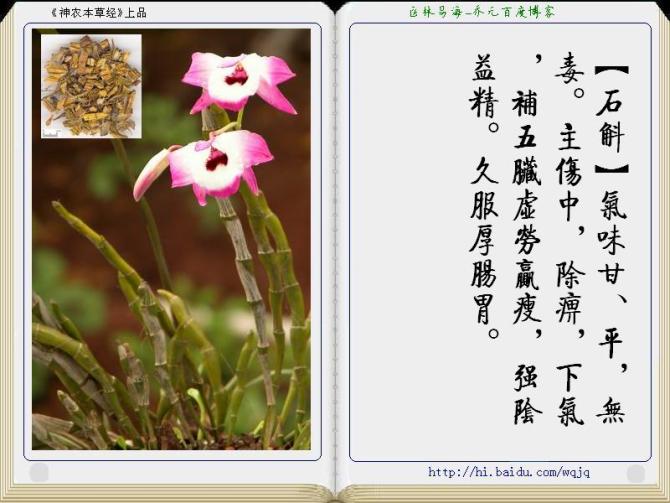 本草纲目中药讲解视频,本草纲目中药图谱及药理讲解