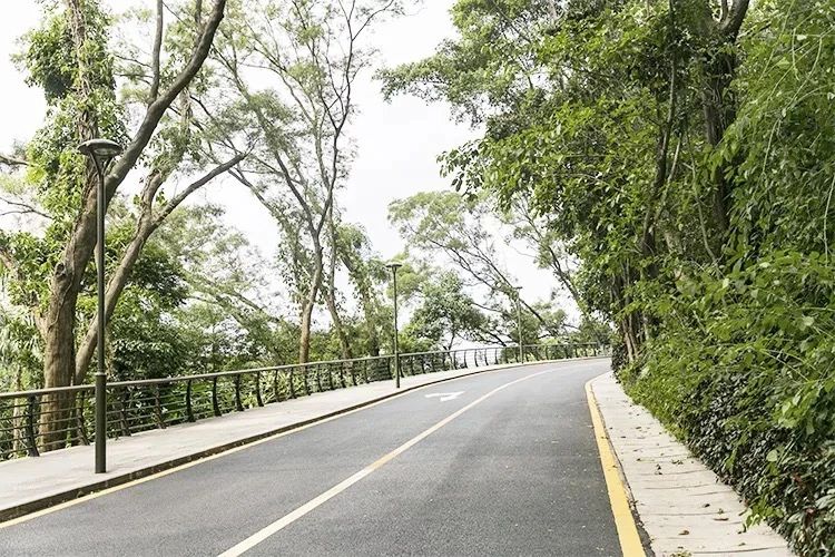 深圳吃喝玩乐两日游推荐,深圳周边游吃喝一日游推荐