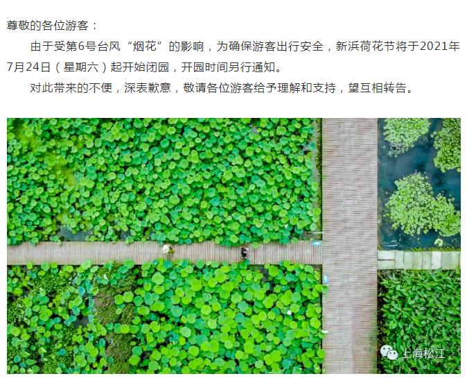 6号台风烟花逼近上海,烟花台风上海