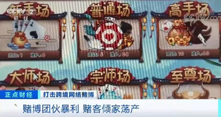 警方侦破一起跨境网络赌博案,涉案金额巨大网络赌博案