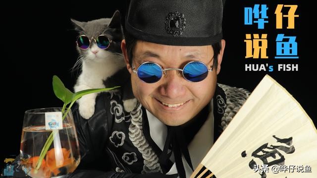 鱼缸换水需要换什么水,鱼缸换水要全部水换吗