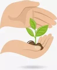 关于胎停育的那些事，你了解吗？