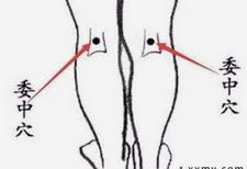 打呼噜的放血拔罐疗法,常见病拔罐的位置图解