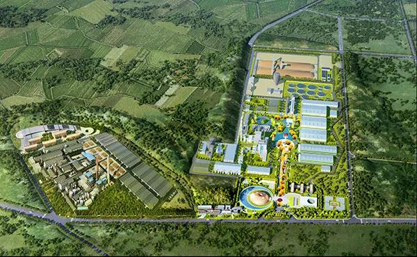 斑布行业龙头股,斑布纸业