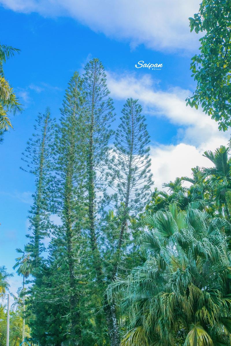 神秘的北纬15度遇见最美塞班