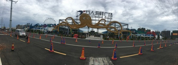 我的海南之旅作文,从海口到三亚感受海南的无限魅力