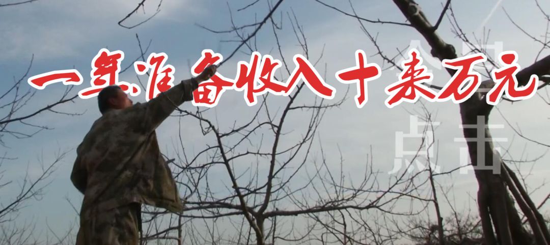 铜川印台脱贫攻坚,铜川印台区脱贫户