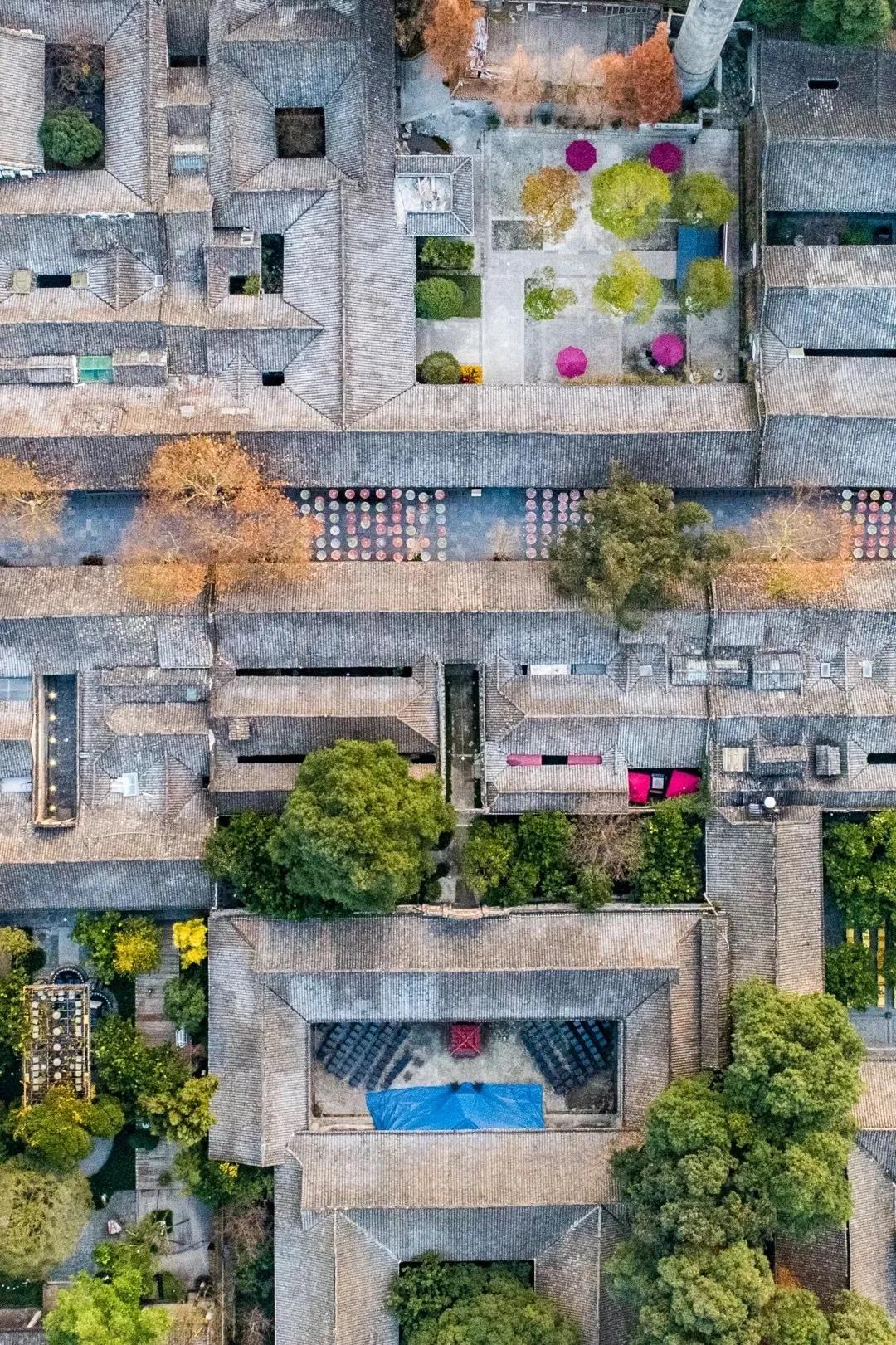 成都拍了拍你,一亿成都粉get心动讯息