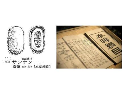 修复受损肌肤屏障水光,如何修复皮肤光损伤护肤成分