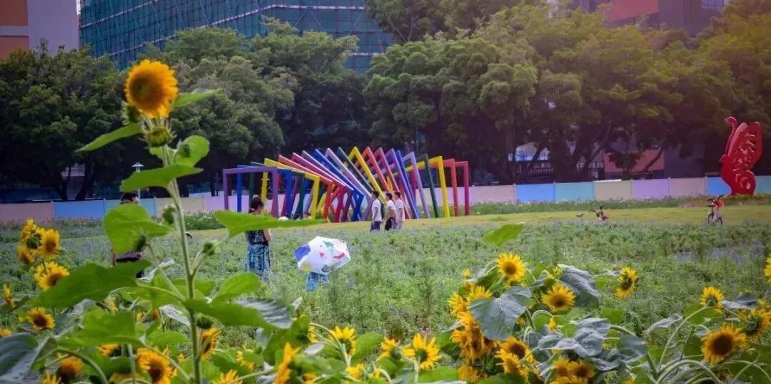 深圳免费公园适合儿童,深圳免费公园哪里最好啊