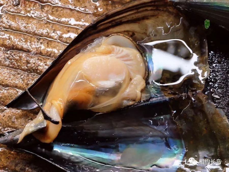 闀垮矝缃戠孩娴烽矞,闀垮矝娴烽矞澶ч鍥剧墖