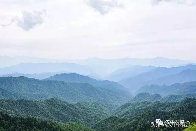探秘汉中,汉中一村子窜入野生羚牛