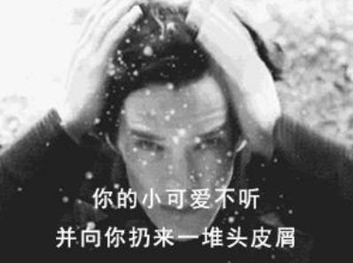 职场人的工作餐,职场饭局办公人员