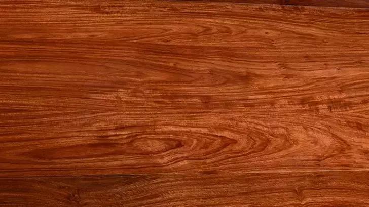 国标红木刺猬紫檀什么意思,刺猬紫檀国标与非国标区别