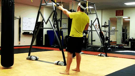 66个最佳的trx悬吊训练动作集锦,trx训练带练背