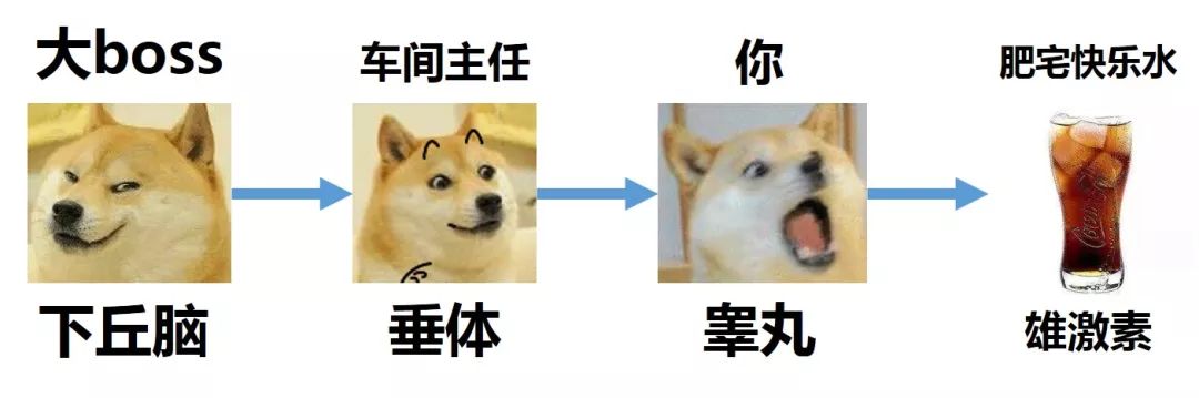 锻炼好身体怀孕的时候会好一些吗,锻炼身体再怀孕会不会好一些