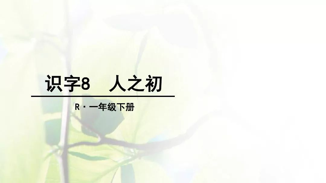 部编版一年级下册人之初知识,一年级下册识字8人之初