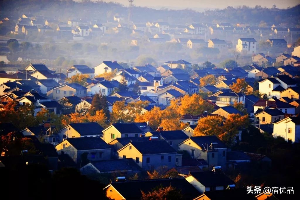 32张美景图片,苏州东山西山风景区哪个更值得去