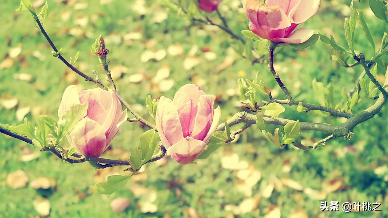 留意一下朋友圈从不给你点赞的人,请远离那些不给你点赞的人