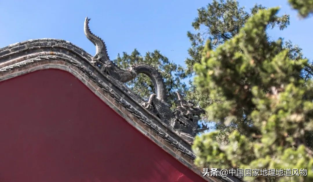 中国薯都地址在哪里,中国薯都为什么是定西