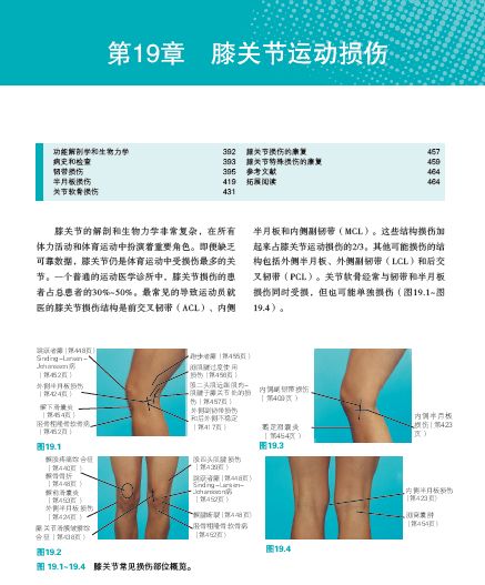 运动损伤的预防及处理小学生,运动损伤的预防与康复300字
