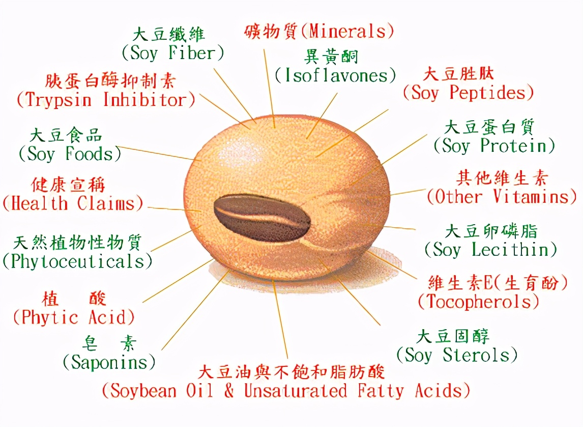 乳腺癌患者能吃大豆油吗,乳腺癌生存者可以睡玉石理疗床吗