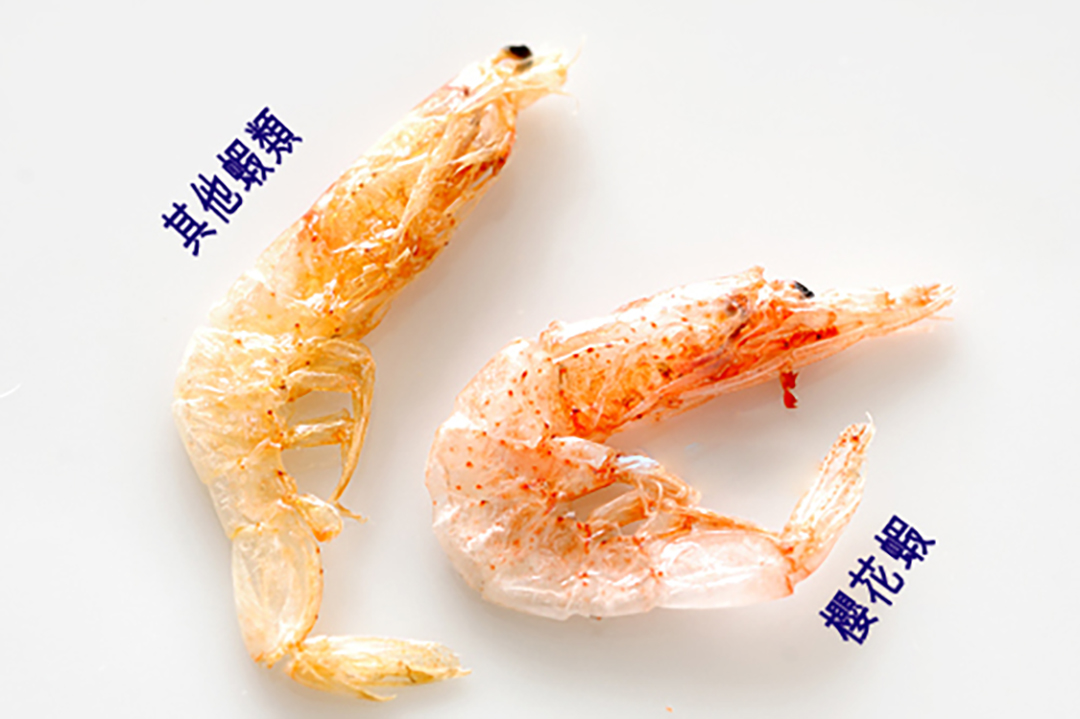 樱花虾怎么吃不会有沙,樱花虾怎么煮好吃潮汕