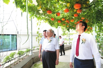 万达新建文旅岛,万达升级版叫什么