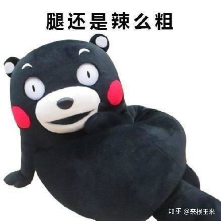 水肿腿加大象腿怎么瘦,大象腿赘肉多