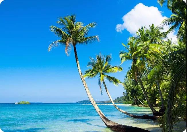 巴厘岛旅游美食攻略,深度美食美景