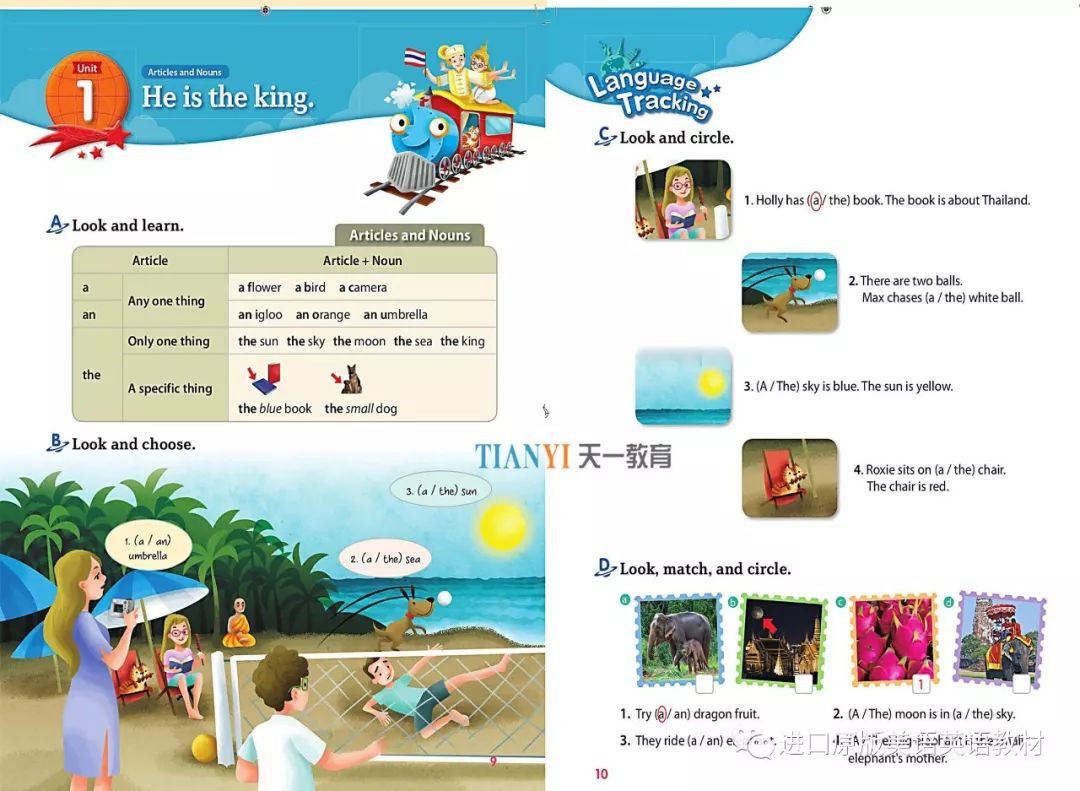 中小学语法速成,语法全面的小学语法书