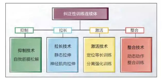 健身中肌肉代偿怎么办,肌肉代偿怎么改善