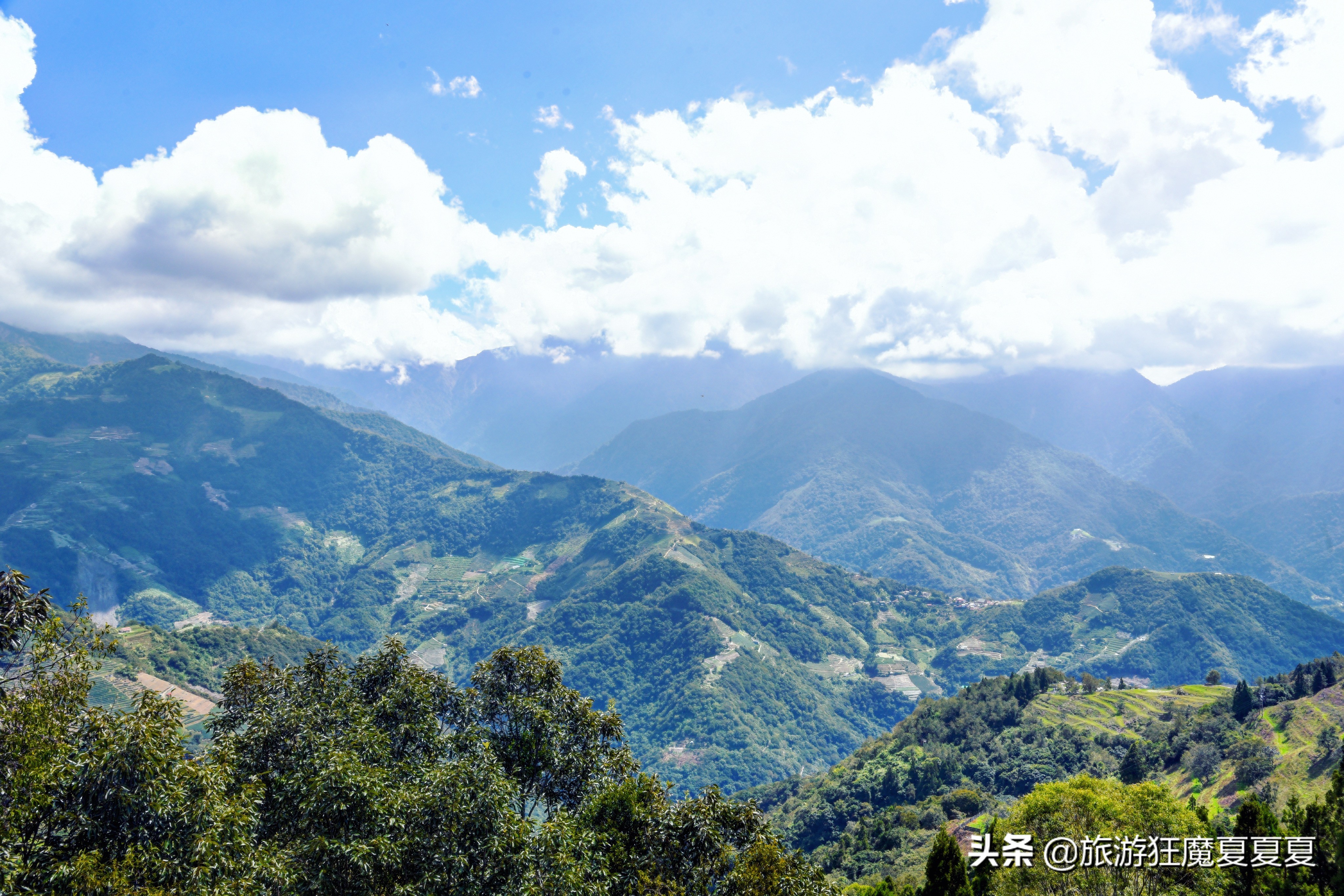 台湾适合亲子游的景点推荐,台湾清境农场游后感